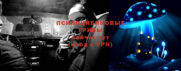 экстази Алексин